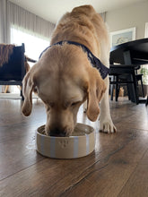 Load image into Gallery viewer, Hundaskál með texta - stór