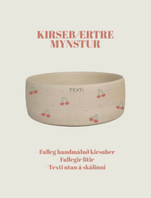 Load image into Gallery viewer, Hundaskál með texta - stór