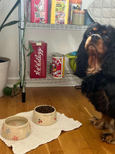 Load image into Gallery viewer, Hundaskál með texta - Fyrir hunda með síð eyru