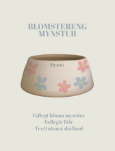 Load image into Gallery viewer, Hundaskál með texta - Fyrir hunda með síð eyru