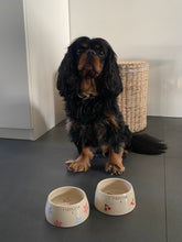 Load image into Gallery viewer, Hundaskál með texta - Fyrir hunda með síð eyru