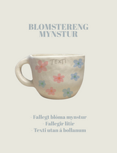 Load image into Gallery viewer, Bolli með texta
