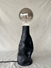 Load image into Gallery viewer, Lampi 1