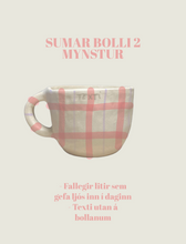Load image into Gallery viewer, Bolli með texta