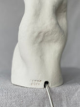 Load image into Gallery viewer, Lampi 2